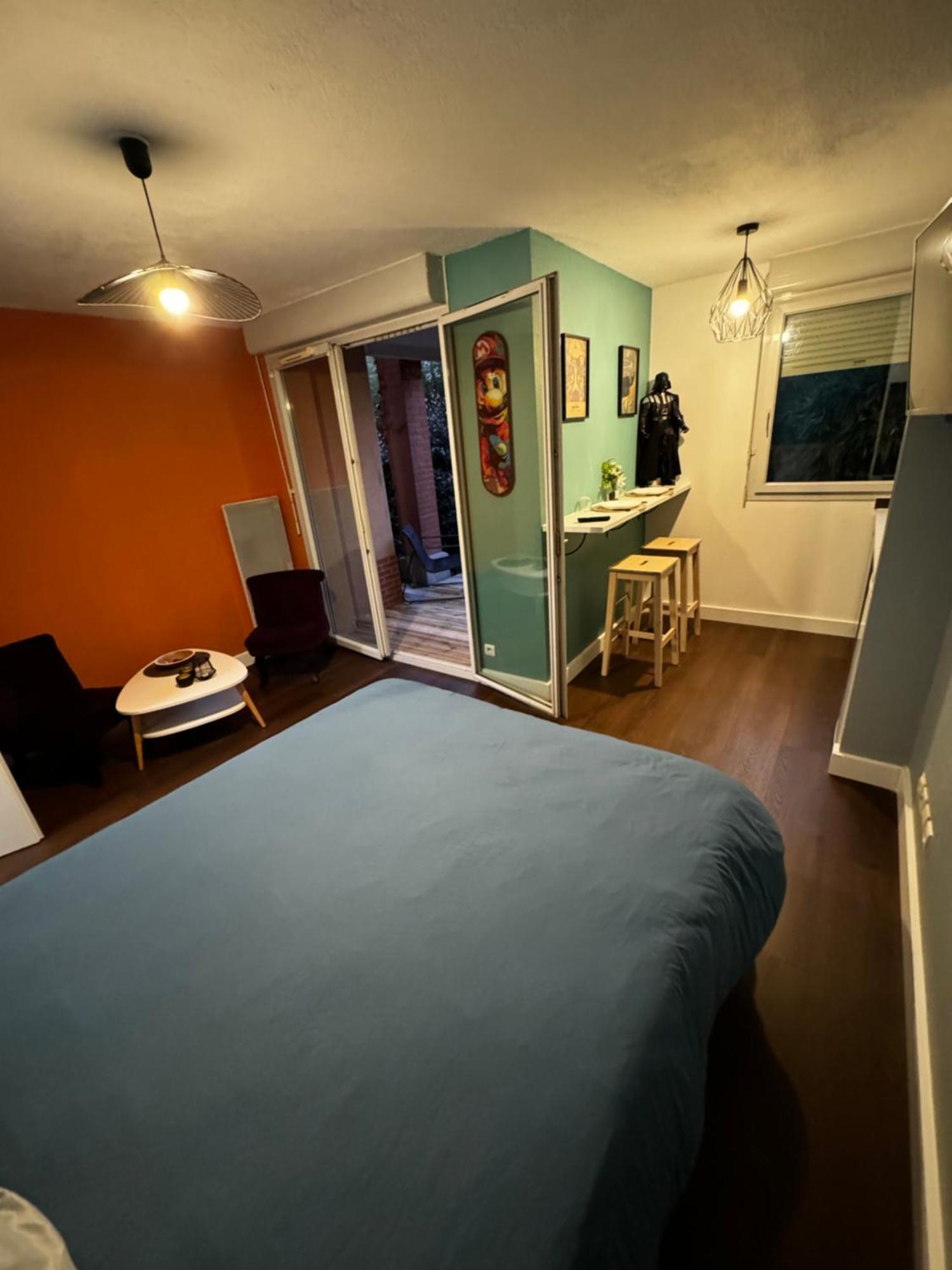 Le Loft Geek Διαμέρισμα Τουλούζη Εξωτερικό φωτογραφία