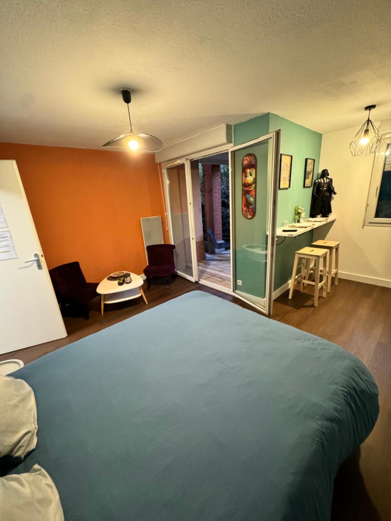 Le Loft Geek Διαμέρισμα Τουλούζη Εξωτερικό φωτογραφία