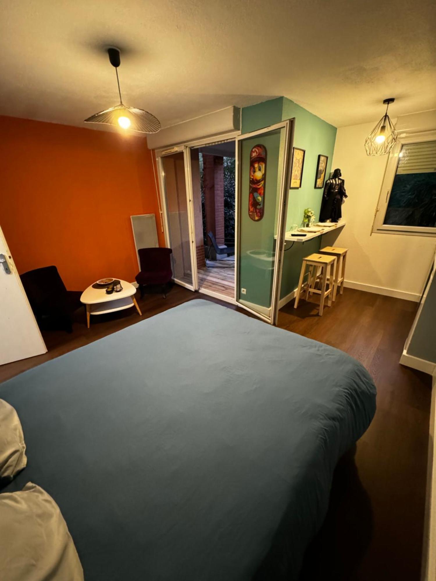 Le Loft Geek Διαμέρισμα Τουλούζη Εξωτερικό φωτογραφία